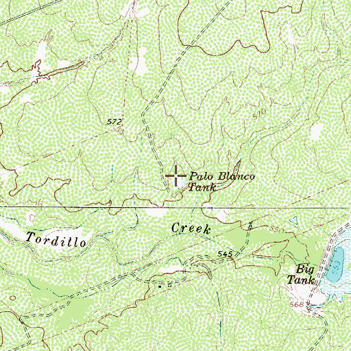 Topographic Map of Palo Blanco Tank, TX