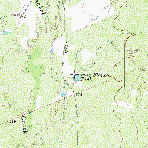Topographic Map of Palo Blanco Tank, TX