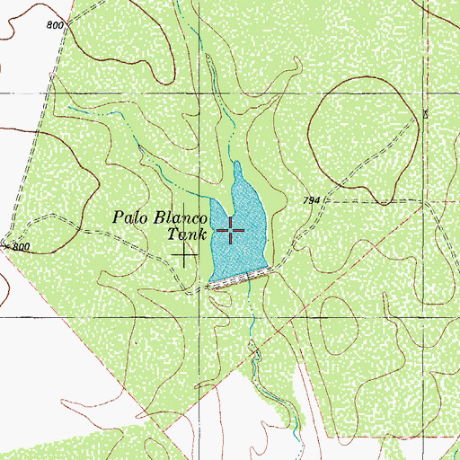 Topographic Map of Palo Blanco Tank, TX