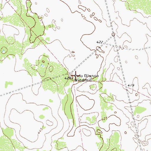 Topographic Map of Palo Blanco Windmill, TX