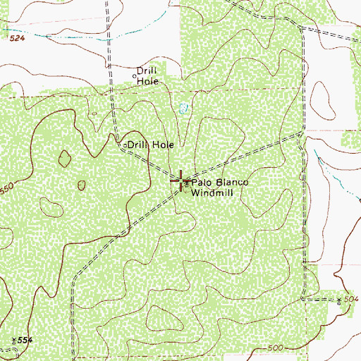 Topographic Map of Palo Blanco Windmill, TX
