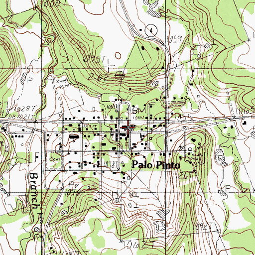 Topographic Map of Palo Pinto, TX