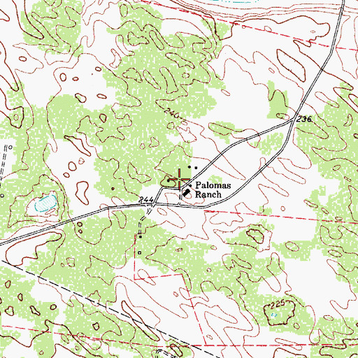 Topographic Map of Palomas Ranch, TX