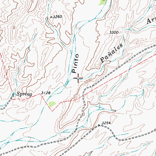 Topographic Map of Panales Arroyo, TX