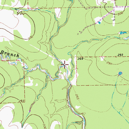 Topographic Map of Panther Branch, TX