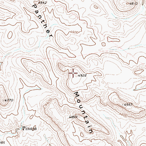 Topographic Map of Panther Mountain, TX