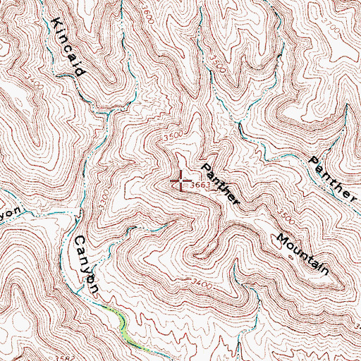 Topographic Map of Panther Mountain, TX