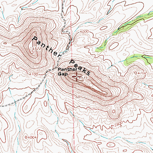 Topographic Map of Panther Peaks, TX