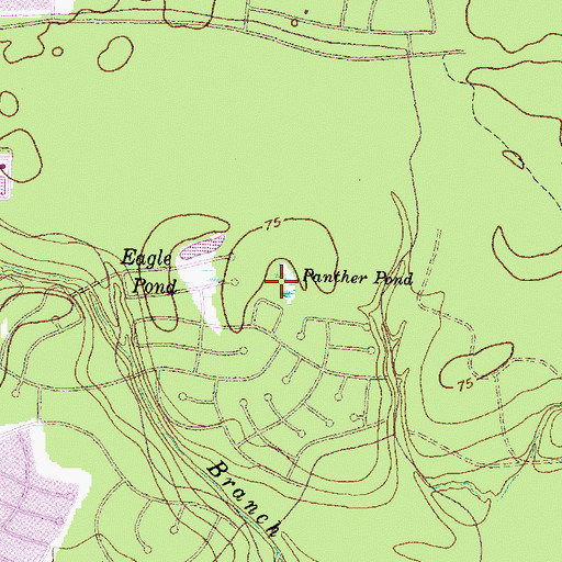 Topographic Map of Panther Pond, TX