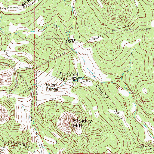Topographic Map of Panther Springs, TX