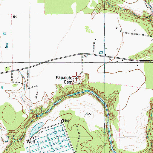 Topographic Map of Papalote Cemetery, TX