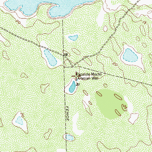 Topographic Map of Papalote Mocho Artesian Well, TX