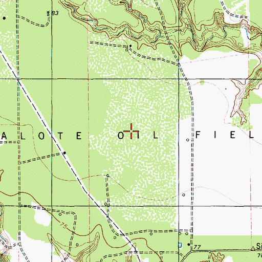 Topographic Map of Papalote Oil Field, TX