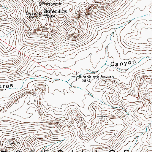 Topographic Map of Papalote Severo, TX