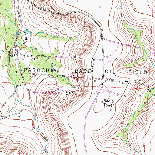 Topographic Map of Parochial Bade Oil Field, TX