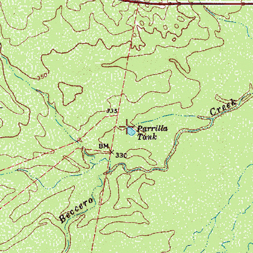 Topographic Map of Parrilla Tank, TX