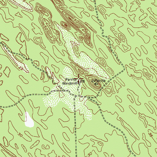 Topographic Map of Parrita Windmill, TX