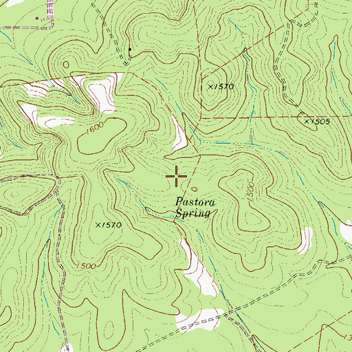 Topographic Map of Pastora Spring, TX