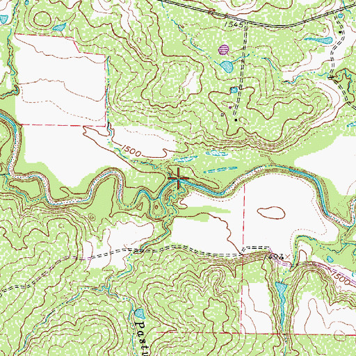 Topographic Map of Pasture Branch, TX