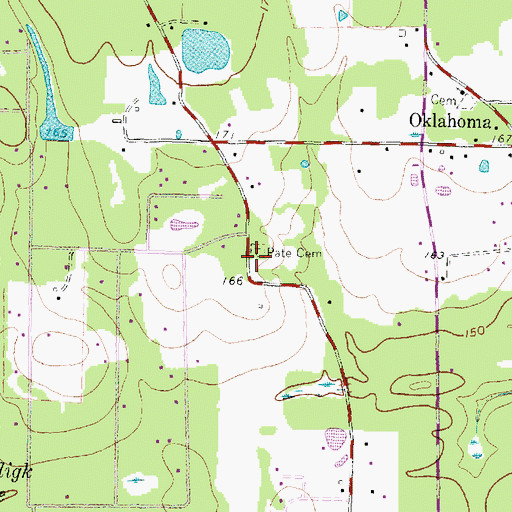 Topographic Map of Pate Cemetery, TX