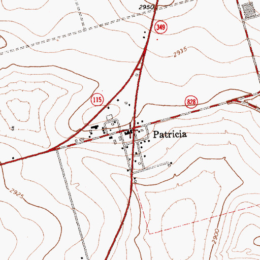 Topographic Map of Patricia, TX