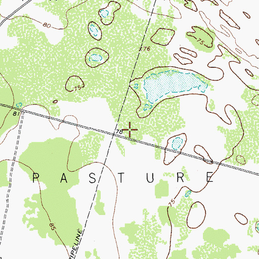 Topographic Map of Patricio Pasture, TX