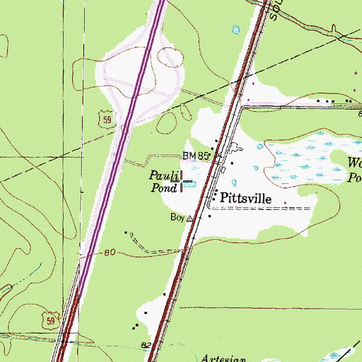 Topographic Map of Pauli Pond, TX