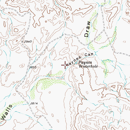 Topographic Map of Paynes Canyon, TX