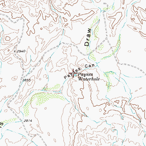 Topographic Map of Paynes Waterhole, TX