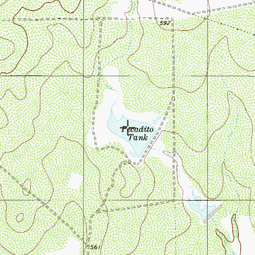 Topographic Map of Pecadito Tank, TX