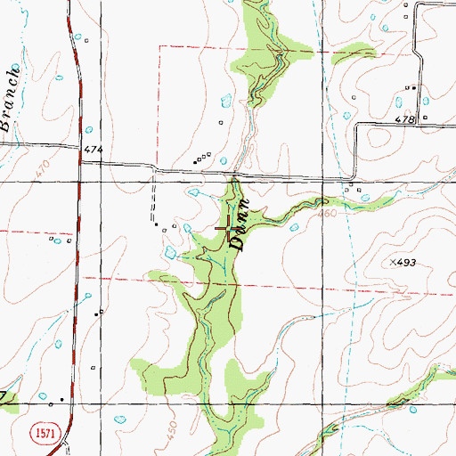 Topographic Map of Pecan Branch, TX