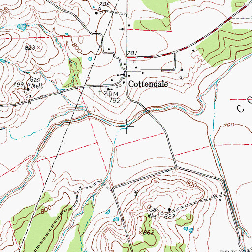 Topographic Map of Pecan Branch, TX
