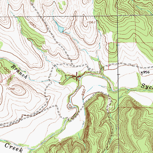 Topographic Map of Pecan Branch, TX