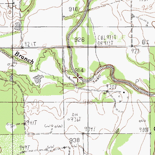 Topographic Map of Pecan Branch, TX