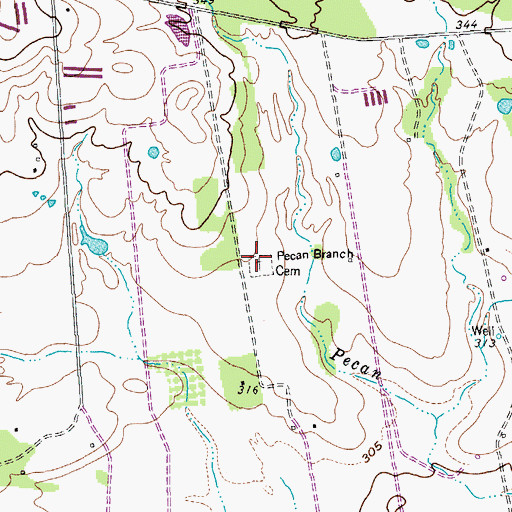 Topographic Map of Pecan Branch Cemetery, TX