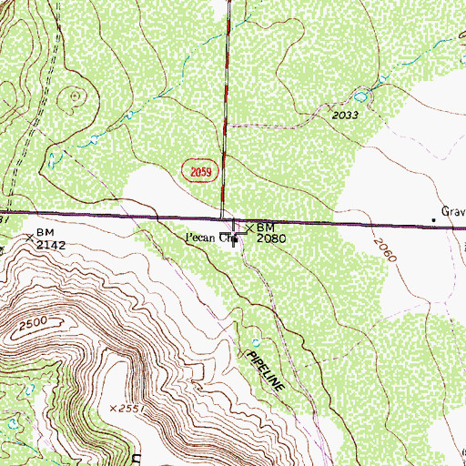 Topographic Map of Pecan Church, TX