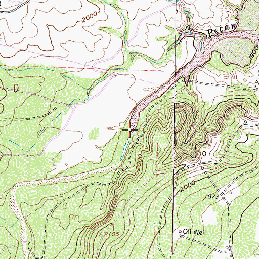 Topographic Map of Pecan Creek, TX