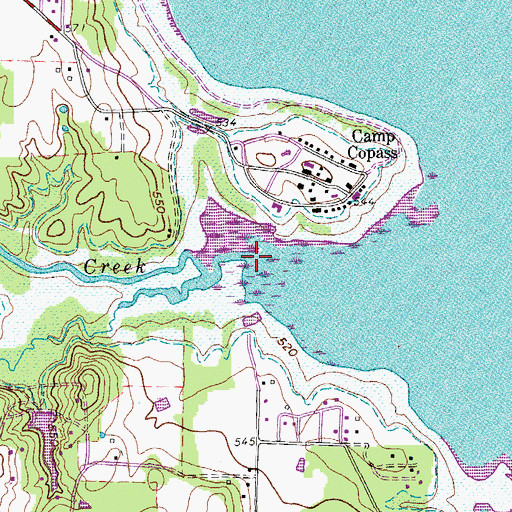 Topographic Map of Pecan Creek, TX
