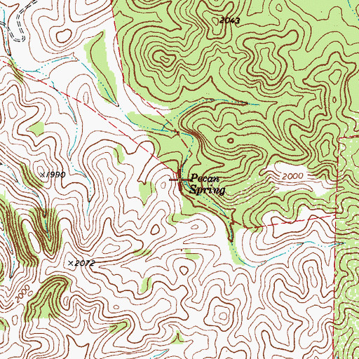 Topographic Map of Pecan Spring, TX