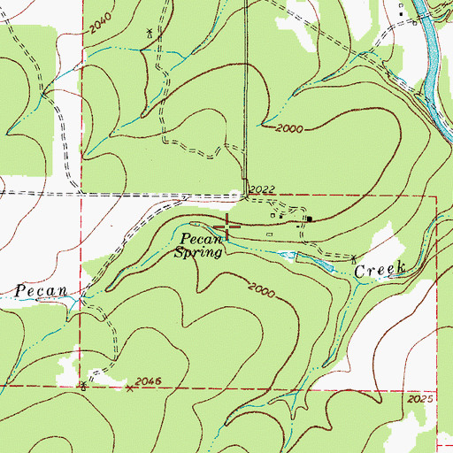 Topographic Map of Pecan Spring, TX