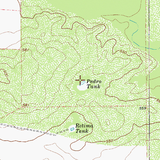 Topographic Map of Pedro Tank, TX