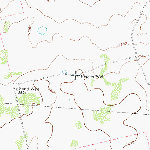 Topographic Map of Pepper Well, TX
