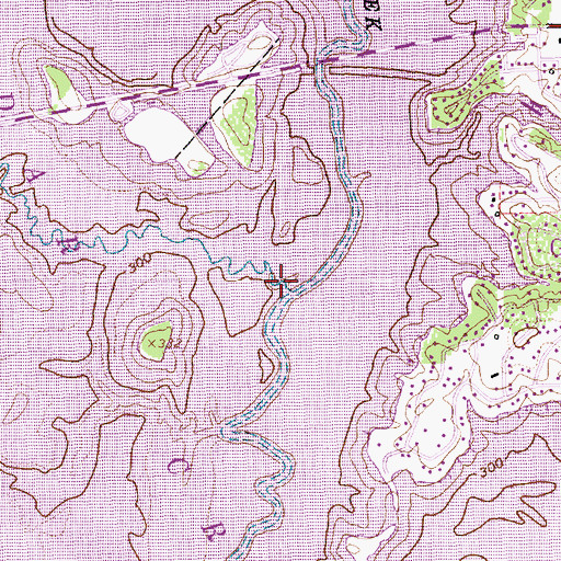Topographic Map of Persimmon Branch, TX