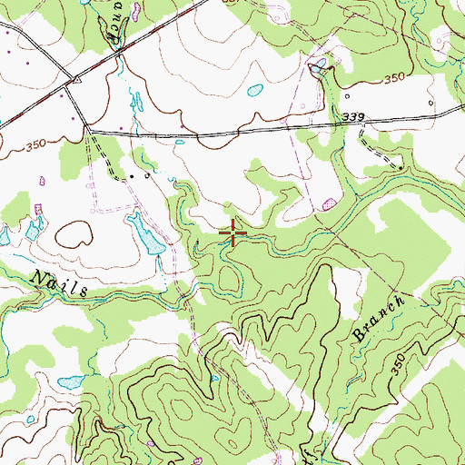 Topographic Map of Persimmon Branch, TX