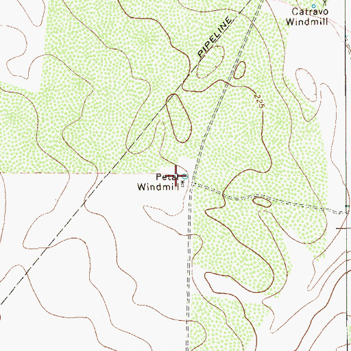 Topographic Map of Petal Windmill, TX