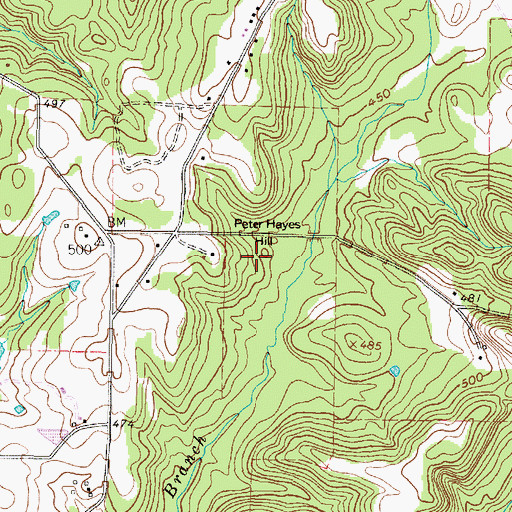 Topographic Map of Peter Hayes Hill, TX
