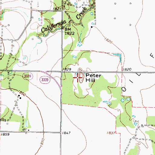 Topographic Map of Peter Hill, TX
