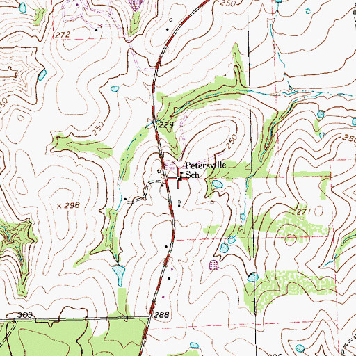 Topographic Map of Petersville School, TX