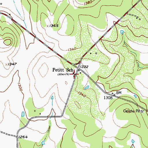 Topographic Map of Petitt School, TX