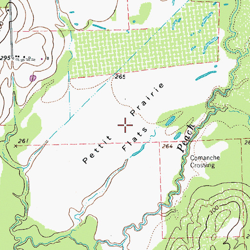 Topographic Map of Pettit Prairie Flats, TX